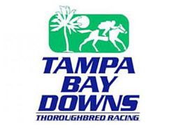 tampa-bay-downs